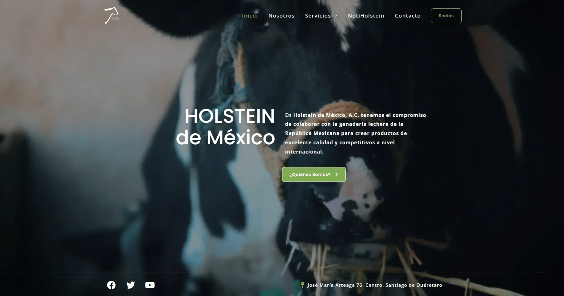 Página web de Holstein